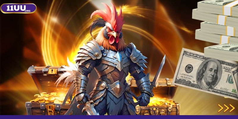 Luyện gà đá bo lớn với mẹo tăng độ dai sức